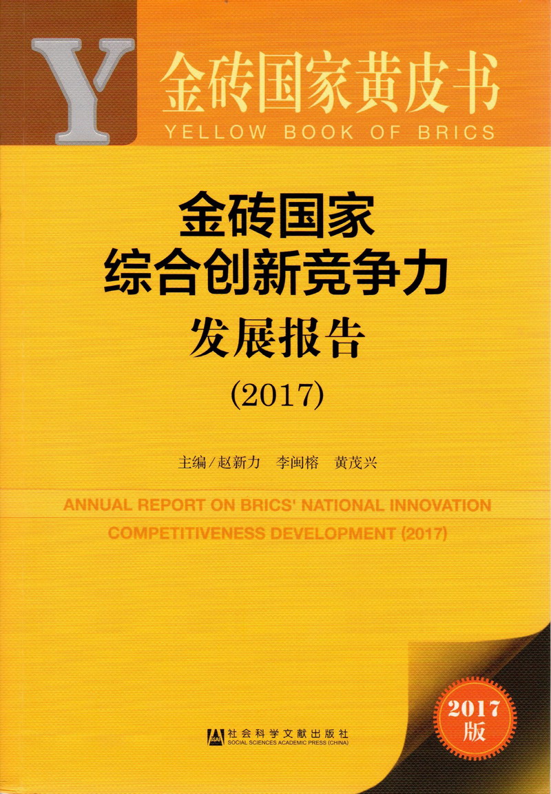 啊逼好痒快点操我AV女人的天堂金砖国家综合创新竞争力发展报告（2017）